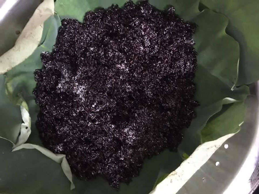 Đam mê ủ cơm rượu, chỉ 4 ngày cô nàng công sở bỏ túi chục triệu Đam mê ủ cơm rượu, chỉ 4 ngày cô nàng công sở bỏ túi chục triệu