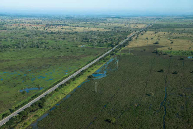 Con đường chết chóc nhất: Mỗi năm 3000 xác chết tại 'xa lộ tử thần' của Brazil, cái giá quá đắt mà thiên nhiên phải trả vì con người - 1 Con đường chết chóc nhất: Mỗi năm 3000 xác chết tại 'xa lộ tử thần' của Brazil, cái giá quá đắt mà thiên nhiên phải trả vì con người - 1