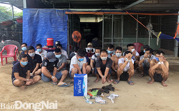 Nạp tiền vào tài khoản để tham gia đá gà Nạp tiền vào tài khoản để tham gia đá gà
