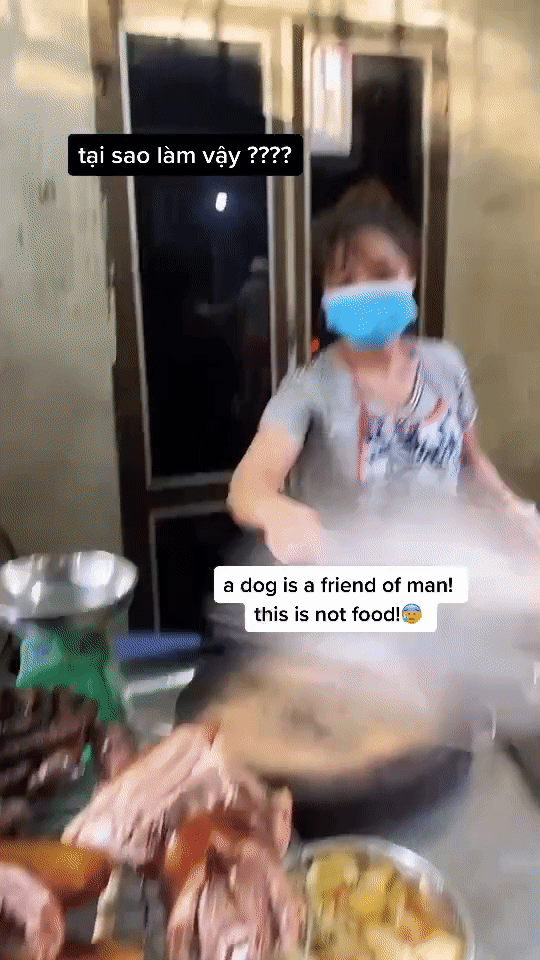 Chỉ trích người Việt ăn thịt chó là kém văn minh, mẫu Tây sống ở Hà Nội bị 'ném đá' dữ dội - 1 Chỉ trích người Việt ăn thịt chó là kém văn minh, mẫu Tây sống ở Hà Nội bị 'ném đá' dữ dội - 1