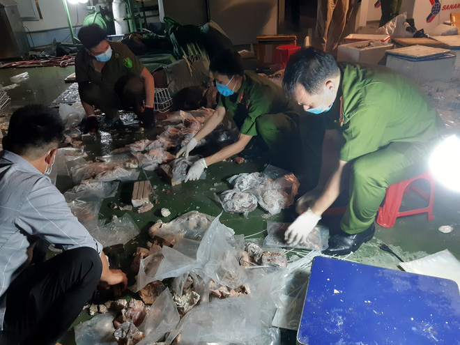 Cảnh sát đột kích phá chuyên án hơn 500kg ma túy giấu trong dạ dày lợn, mô tơ điện - 3 Cảnh sát đột kích phá chuyên án hơn 500kg ma túy giấu trong dạ dày lợn, mô tơ điện - 3