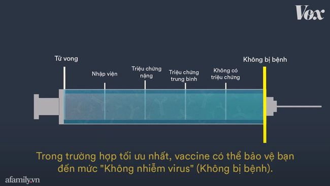 Các loại vaccine COVID-19 đang 'thịnh hành' trên thế giới, hiệu quả sử dụng như thế nào? - 2 Các loại vaccine COVID-19 đang 'thịnh hành' trên thế giới, hiệu quả sử dụng như thế nào? - 2