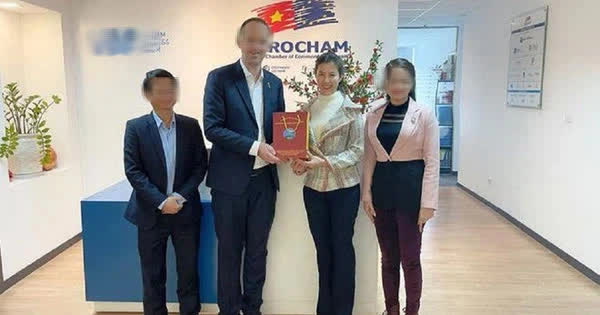 Vĩnh Phúc: Thu hồi quyết định bổ nhiệm nữ Phó Giám đốc Sở Kế hoạch - Đầu tư 31 tuổi Vĩnh Phúc: Thu hồi quyết định bổ nhiệm nữ Phó Giám đốc Sở Kế hoạch - Đầu tư 31 tuổi