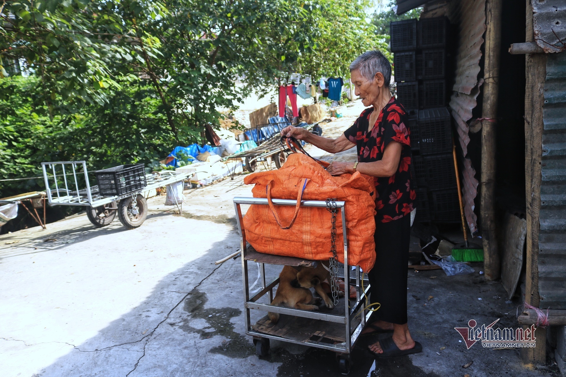 Người già lay lắt trong nắng nóng đỉnh điểm ở xóm lao động nghèo Hà Nội - 7 Người già lay lắt trong nắng nóng đỉnh điểm ở xóm lao động nghèo Hà Nội - 7