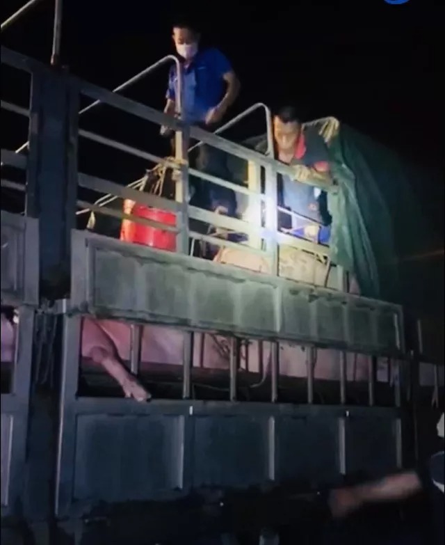 Phát hiện gần 20 người trốn trong xe tải chở lợn để qua chốt kiểm soát Phát hiện gần 20 người trốn trong xe tải chở lợn để qua chốt kiểm soát