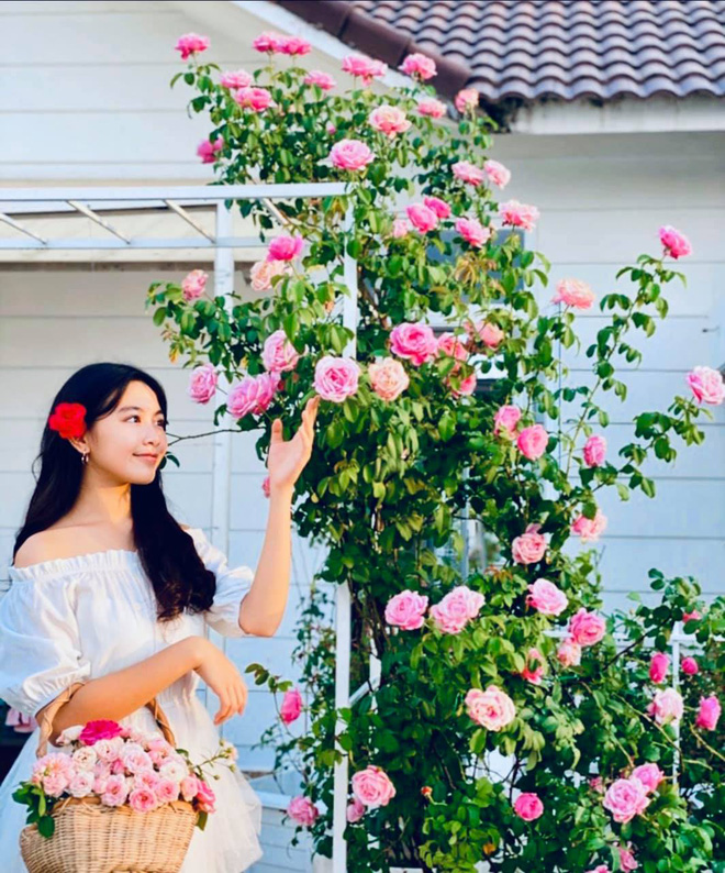 Lọ Lem nhà MC Quyền Linh xinh quá, đứng giữa biệt thự 21 tỷ ngập hoa trái lại càng xinh - 15 Lọ Lem nhà MC Quyền Linh xinh quá, đứng giữa biệt thự 21 tỷ ngập hoa trái lại càng xinh - 15
