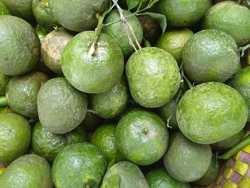 Cam sành vắt nước, món bình dân bỗng thành hàng hot Sài Thành - 1 Cam sành vắt nước, món bình dân bỗng thành hàng hot Sài Thành - 1
