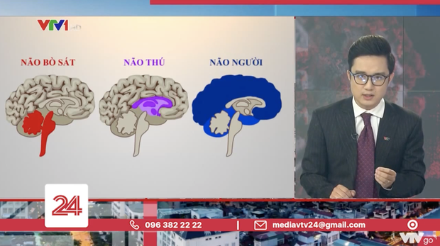 Dân mạng tranh cãi về bản tin ví von 'não người' - 'não thú' của VTV: Đúng tinh thần nhưng sai cách thể hiện Dân mạng tranh cãi về bản tin ví von 'não người' - 'não thú' của VTV: Đúng tinh thần nhưng sai cách thể hiện