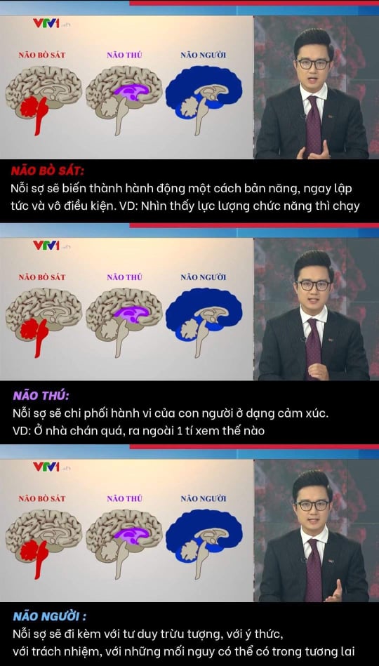 Giữa biến 'não thú' của VTV, MC Trần Ngọc công khai bảo vệ BTV Sơn Lâm: 'Tôi không thích các thành phần ốc chô' Giữa biến 'não thú' của VTV, MC Trần Ngọc công khai bảo vệ BTV Sơn Lâm: 'Tôi không thích các thành phần ốc chô'