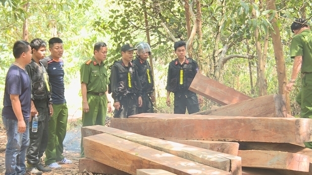 Giám đốc và 8 cán bộ bị truy tố vì để mất rừng, gây thiệt hại hơn 29 tỉ đồng - 2 Giám đốc và 8 cán bộ bị truy tố vì để mất rừng, gây thiệt hại hơn 29 tỉ đồng - 2