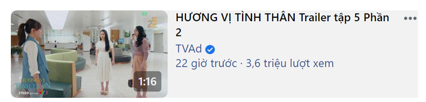 Hương Vị Tình Thân chễm chệ trên top trending với lượt view khủng, lập kỷ lục cho truyền hình Việt - 1 Hương Vị Tình Thân chễm chệ trên top trending với lượt view khủng, lập kỷ lục cho truyền hình Việt - 1