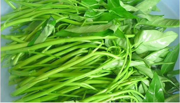 Tưởng lành nhưng đây là 4 tác dụng phụ tai hại của rau muống, nếu thuộc 1 trong 4 nhóm người này nên tránh xa Tưởng lành nhưng đây là 4 tác dụng phụ tai hại của rau muống, nếu thuộc 1 trong 4 nhóm người này nên tránh xa