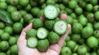 Cua hoàng đế, tôm hùm Alaska... hải sản nhà giàu ế ẩm, giảm giá mạnh - 3 Cua hoàng đế, tôm hùm Alaska... hải sản nhà giàu ế ẩm, giảm giá mạnh - 3