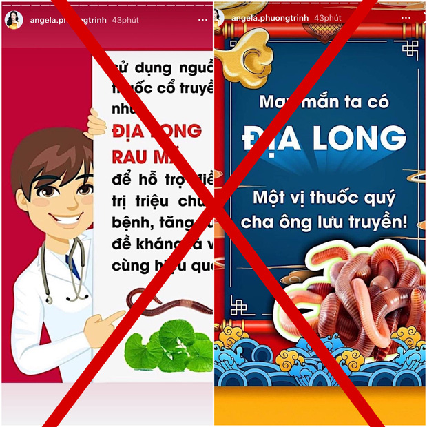 Đăng tải bài viết giun đất có thể chữa khỏi Covid-19, Angela Phương Trinh bị xử phạt - 3 Đăng tải bài viết giun đất có thể chữa khỏi Covid-19, Angela Phương Trinh bị xử phạt - 3