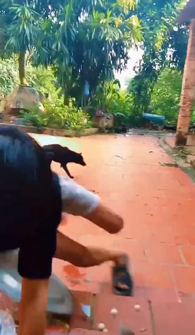 Đang bê cả mâm cơm thịnh soạn, thanh niên bỗng hụt miếng ăn lại còn bị dân mạng 'ném đá' hàng loạt vì một lý do? - 3 Đang bê cả mâm cơm thịnh soạn, thanh niên bỗng hụt miếng ăn lại còn bị dân mạng 'ném đá' hàng loạt vì một lý do? - 3