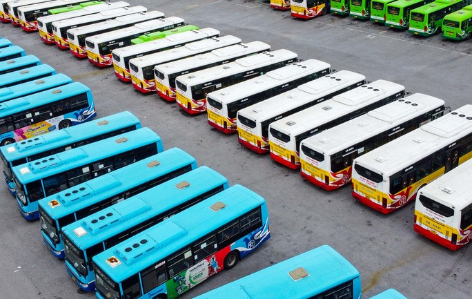 Hàng ngàn chiếc ôtô phơi nắng trong dịch Covid-19 - 7 Hàng ngàn chiếc ôtô phơi nắng trong dịch Covid-19 - 7