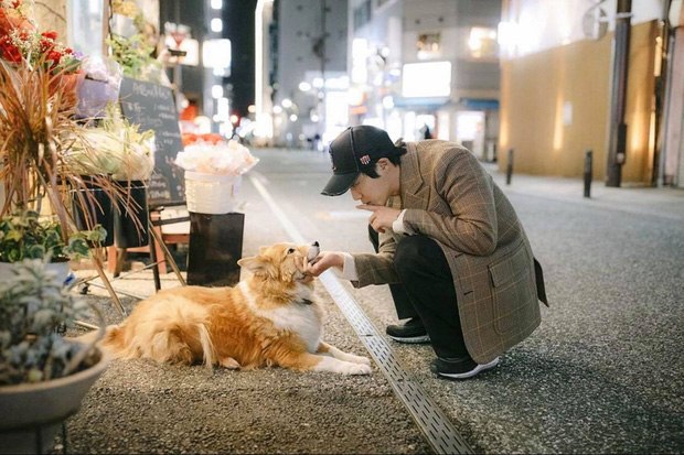 Bóc trần Kim Hyun Joong: Nam thần Vườn Sao Băng 'đè bẹp' Lee Min Ho, tuột dốc sau 1 đêm vì bê bối đánh bạn gái gãy xương sườn - 15 Bóc trần Kim Hyun Joong: Nam thần Vườn Sao Băng 'đè bẹp' Lee Min Ho, tuột dốc sau 1 đêm vì bê bối đánh bạn gái gãy xương sườn - 15
