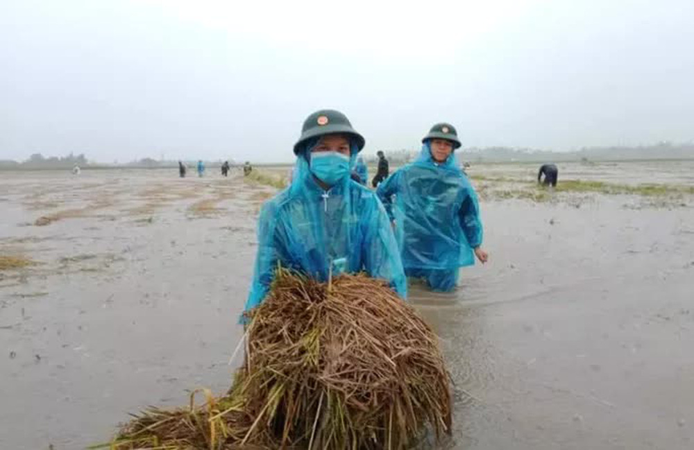 Quảng Ngãi mưa trắng trời, nhiều nơi ngập nặng, lũ lên nhanh - 7 Quảng Ngãi mưa trắng trời, nhiều nơi ngập nặng, lũ lên nhanh - 7