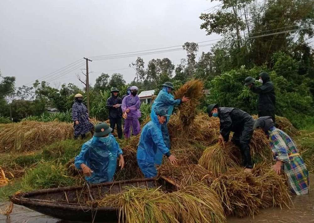 Quảng Ngãi mưa trắng trời, nhiều nơi ngập nặng, lũ lên nhanh - 8 Quảng Ngãi mưa trắng trời, nhiều nơi ngập nặng, lũ lên nhanh - 8