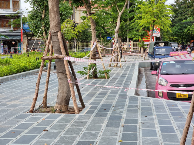 Sau nới lỏng, người Hải Phòng thích nhất là tập thể dục - 14 Sau nới lỏng, người Hải Phòng thích nhất là tập thể dục - 14
