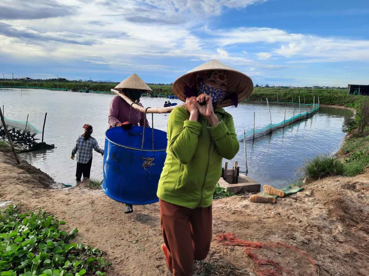 Đặc sản ốc hương ế ẩm, giá giảm quá nửa, rẻ chưa từng có - 4 Đặc sản ốc hương ế ẩm, giá giảm quá nửa, rẻ chưa từng có - 4