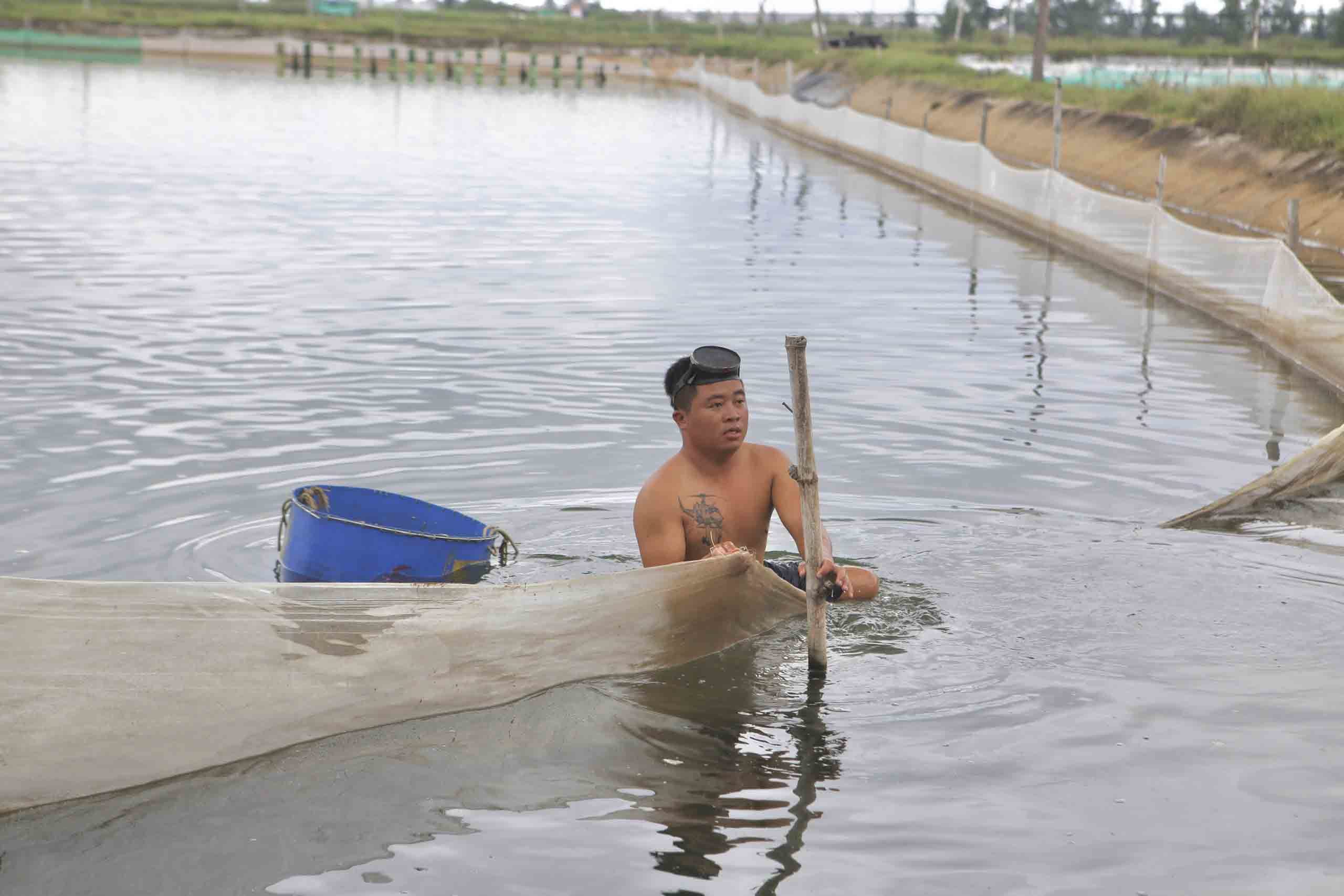 Đặc sản ốc hương ế ẩm, giá giảm quá nửa, rẻ chưa từng có - 2 Đặc sản ốc hương ế ẩm, giá giảm quá nửa, rẻ chưa từng có - 2