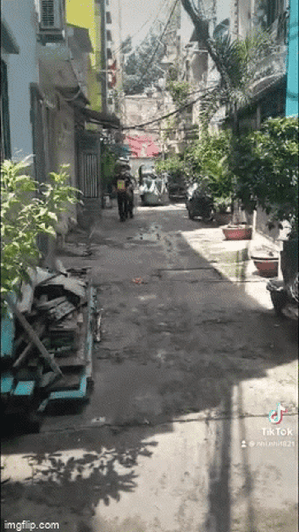 Cha đi cách ly, lúc về chỉ còn hũ tro cốt: Lời dặn trước lúc tạ từ và điều hối tiếc muộn màng của cô con gái - 1 Cha đi cách ly, lúc về chỉ còn hũ tro cốt: Lời dặn trước lúc tạ từ và điều hối tiếc muộn màng của cô con gái - 1