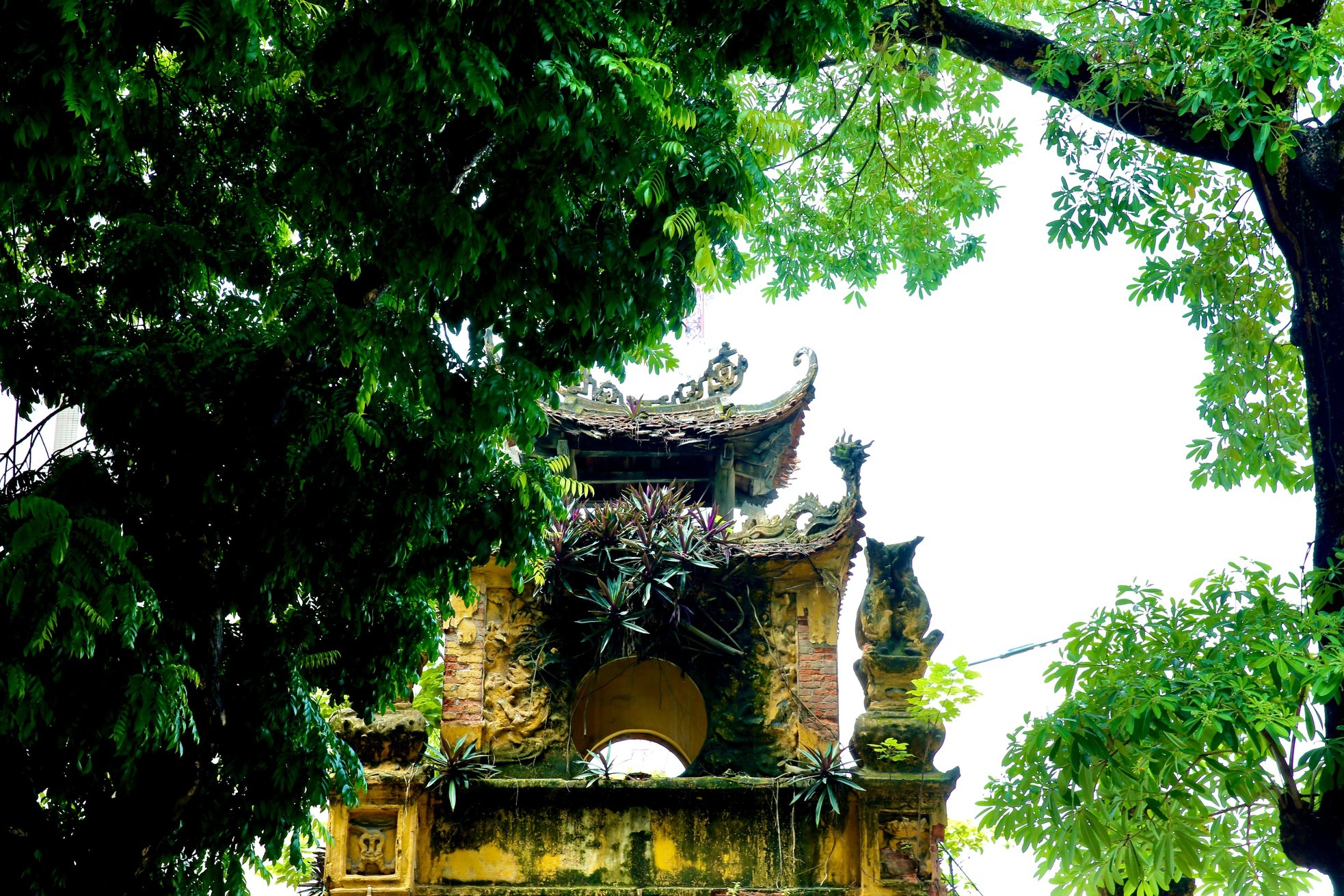 Thổn thức trước khoảnh khắc trời thu Hà Nội đẹp đến nao lòng - 5 Thổn thức trước khoảnh khắc trời thu Hà Nội đẹp đến nao lòng - 5