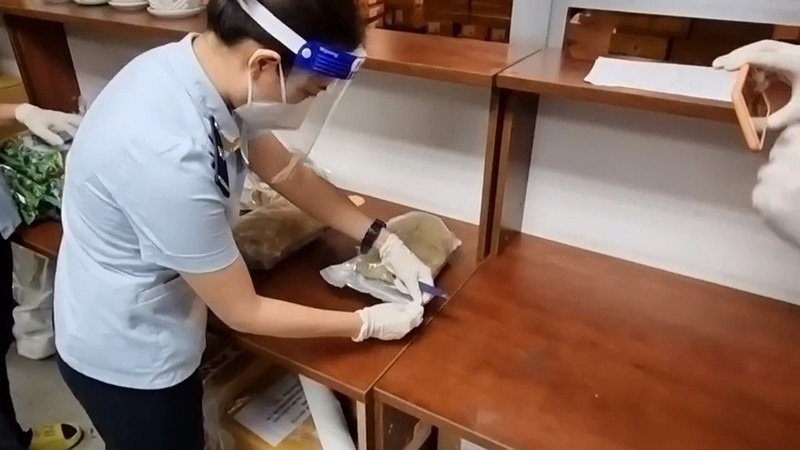 Bắt gần 5kg ma túy trong cá khô và sứa biển xuất đi Australia Bắt gần 5kg ma túy trong cá khô và sứa biển xuất đi Australia
