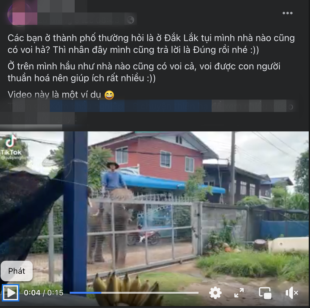 Sự thật clip voi ở Đắk Lắk biết tự mở đóng cổng, được nuôi như thú cưng: Hóa ra là đồ 'ăn trộm' Sự thật clip voi ở Đắk Lắk biết tự mở đóng cổng, được nuôi như thú cưng: Hóa ra là đồ 'ăn trộm'
