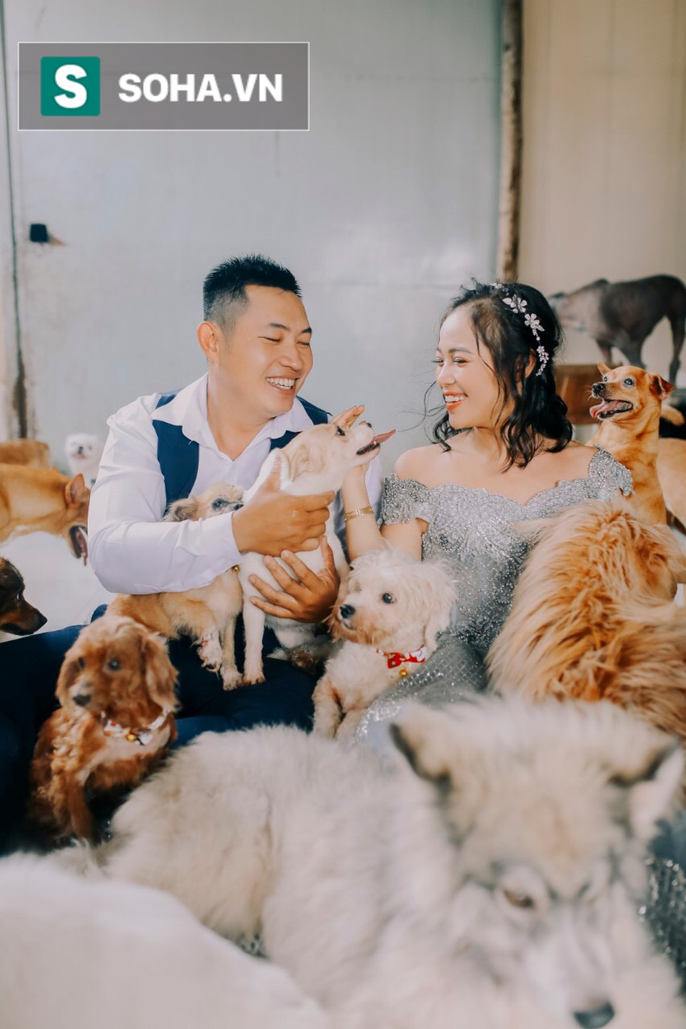 Cặp vợ chồng cưu mang 100 con chó, mèo bị chủ F0 bỏ rơi mùa dịch: ‘Chúng tôi không sinh con để chu toàn cho tụi nhỏ’ - 4 Cặp vợ chồng cưu mang 100 con chó, mèo bị chủ F0 bỏ rơi mùa dịch: ‘Chúng tôi không sinh con để chu toàn cho tụi nhỏ’ - 4
