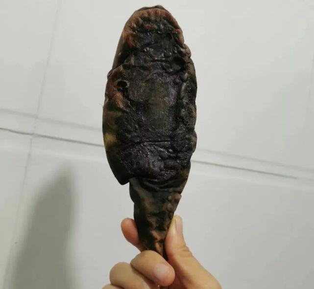 Vì không đáp ứng 'yêu cầu giữa đêm' của chồng, vợ lâm vào cơn ác mộng khó tả, đến khi nhìn thứ kinh hoàng trên đĩa mới choáng váng - 5 Vì không đáp ứng 'yêu cầu giữa đêm' của chồng, vợ lâm vào cơn ác mộng khó tả, đến khi nhìn thứ kinh hoàng trên đĩa mới choáng váng - 5