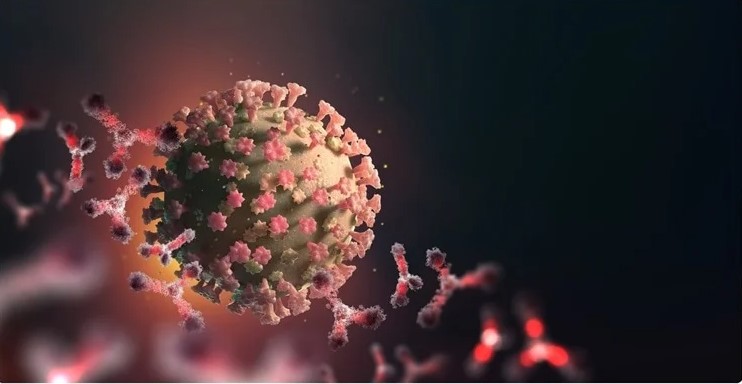 Phát hiện nhiều chủng virus trên loài dơi mang tới manh mối quan trọng về nguồn gốc Covid-19 Phát hiện nhiều chủng virus trên loài dơi mang tới manh mối quan trọng về nguồn gốc Covid-19