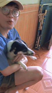 Hành động của chú chó sau hơn 2 tháng không gặp khiến chàng trai cảm động 'điếng người' - 1 Hành động của chú chó sau hơn 2 tháng không gặp khiến chàng trai cảm động 'điếng người' - 1