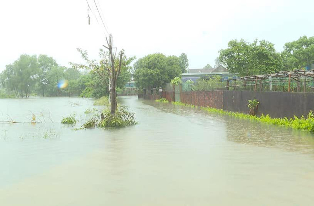 Người dân thả lưới bắt cá giữa đường ngập ở Hà Tĩnh - 5 Người dân thả lưới bắt cá giữa đường ngập ở Hà Tĩnh - 5