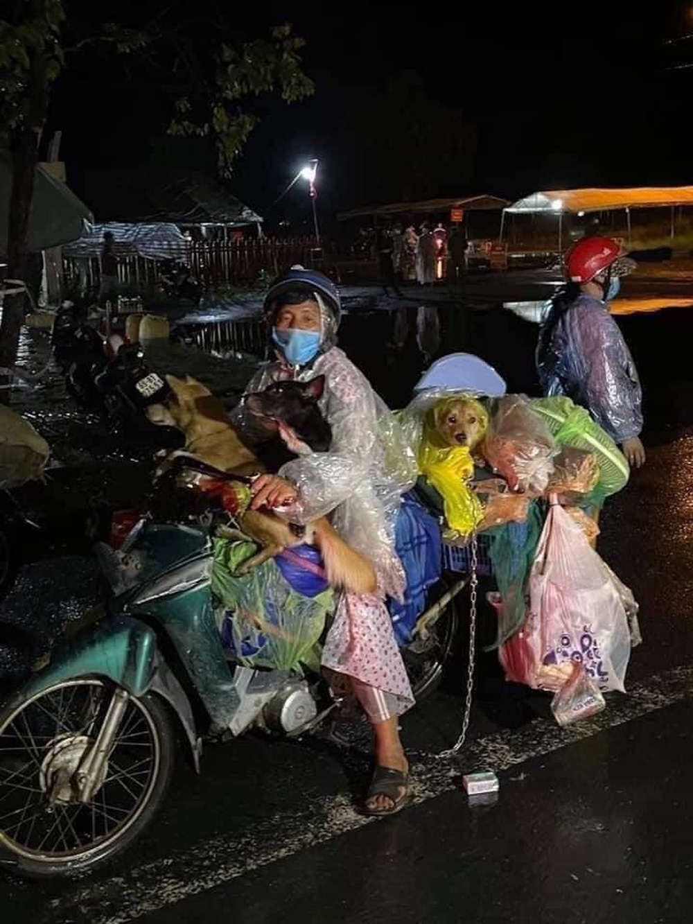 Dân mạng chỉ trích chủ nhân 15 con chó bị tiêu hủy ở Cà Mau kêu gọi ủng hộ, 'đòi quyền lợi': Sự thật là gì? - 2 Dân mạng chỉ trích chủ nhân 15 con chó bị tiêu hủy ở Cà Mau kêu gọi ủng hộ, 'đòi quyền lợi': Sự thật là gì? - 2