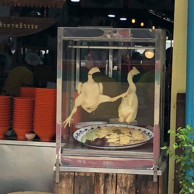 Đi mua gà luộc, anh chàng mém xỉu khi nhìn vào tư thế con gà đang treo trong tủ kính, dân mạng phán 1 câu chắc nịch Đi mua gà luộc, anh chàng mém xỉu khi nhìn vào tư thế con gà đang treo trong tủ kính, dân mạng phán 1 câu chắc nịch