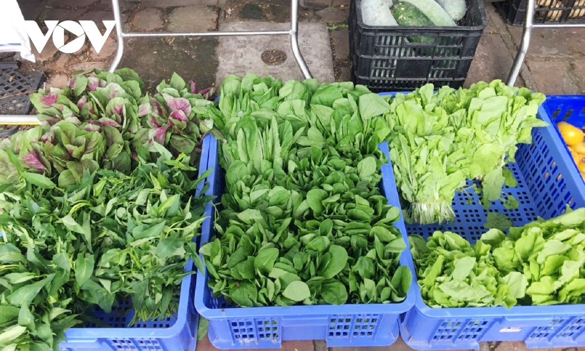 Người dân Hà Nội thích thú với gian hàng đổi phế liệu lấy thực phẩm - 3 Người dân Hà Nội thích thú với gian hàng đổi phế liệu lấy thực phẩm - 3