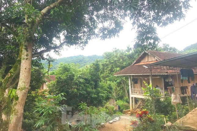 Núi nứt toác hình vòng cung, doạ sập vùi lấp hàng chục hộ dân - 3 Núi nứt toác hình vòng cung, doạ sập vùi lấp hàng chục hộ dân - 3