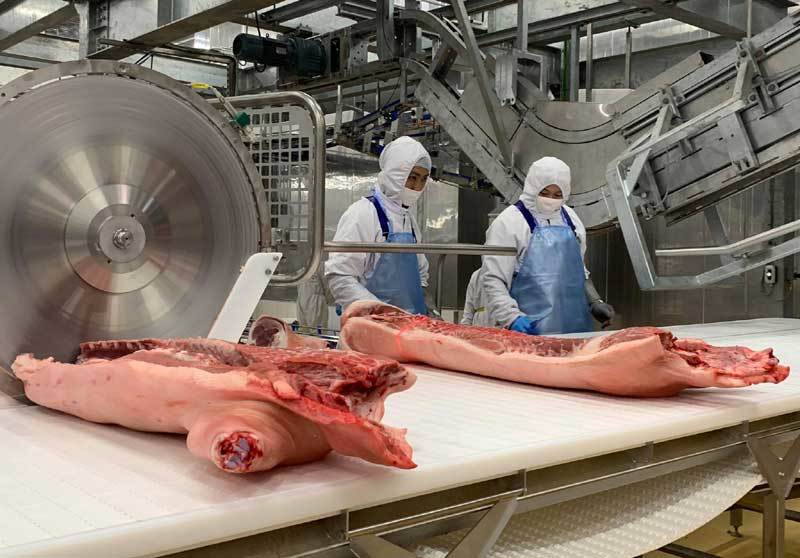 Sự thật nguồn thịt lợn nhập khẩu ép giá lợn hơi giảm xuống đáy - 1 Sự thật nguồn thịt lợn nhập khẩu ép giá lợn hơi giảm xuống đáy - 1