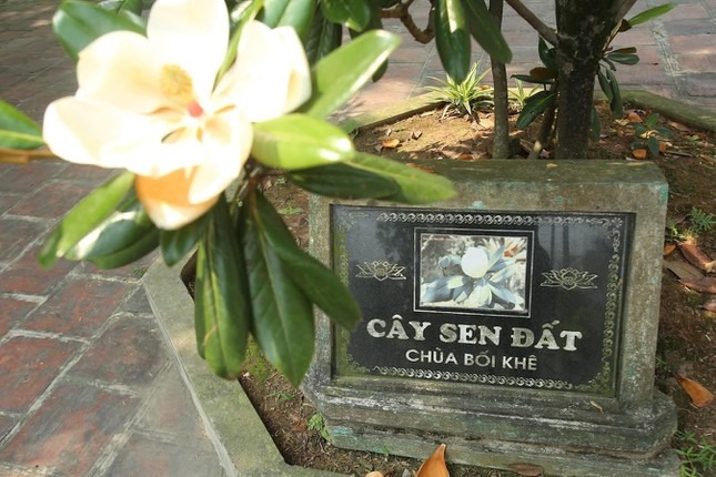 Mê mẩn những bức chạm khắc tuyệt đẹp tại ngôi chùa cổ Bắc Bộ - 21 Mê mẩn những bức chạm khắc tuyệt đẹp tại ngôi chùa cổ Bắc Bộ - 21