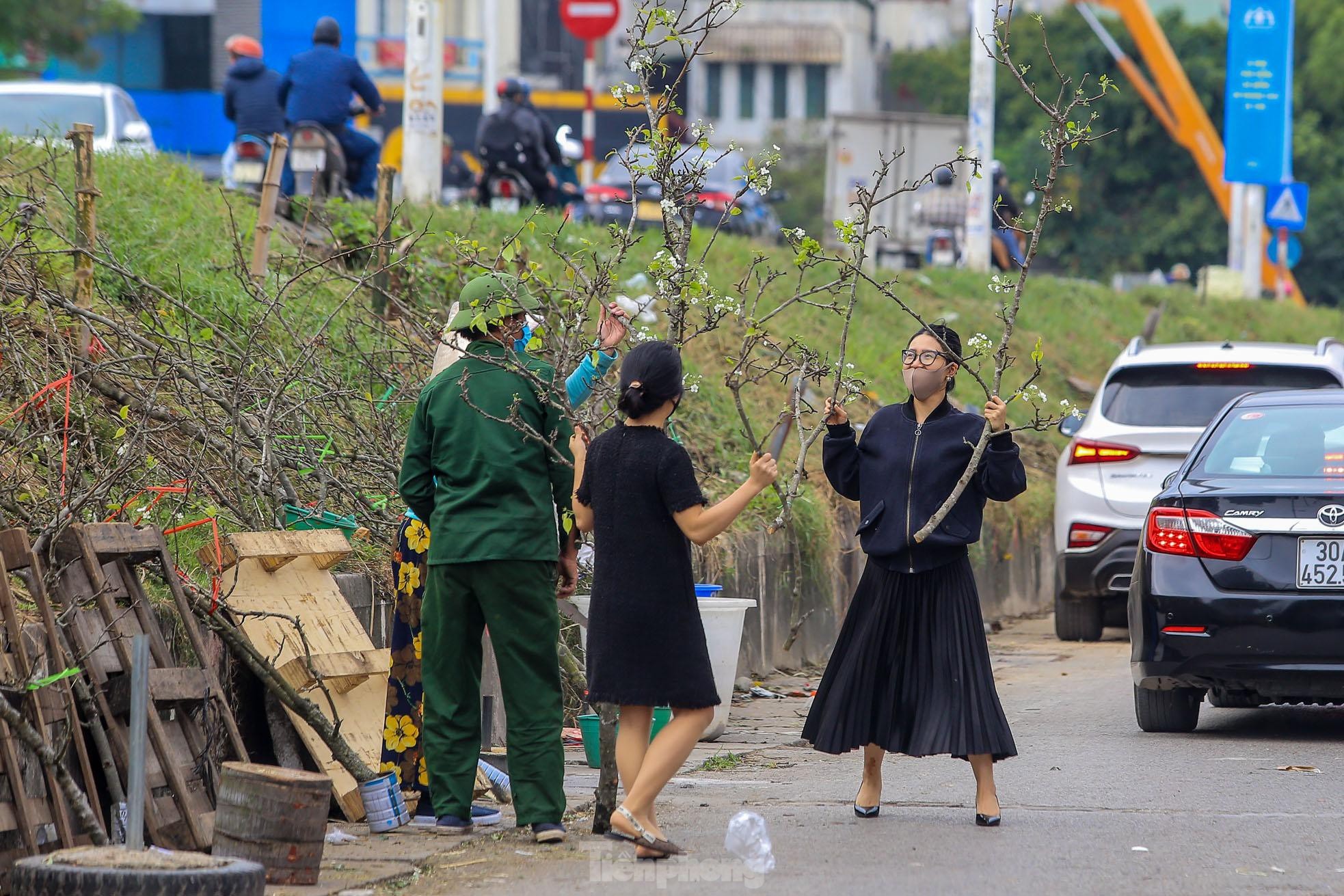 Hoa lê rừng xuống phố, người Hà Nội chi tiền triệu 'chơi Tết' sớm - 10 Hoa lê rừng xuống phố, người Hà Nội chi tiền triệu 'chơi Tết' sớm - 10