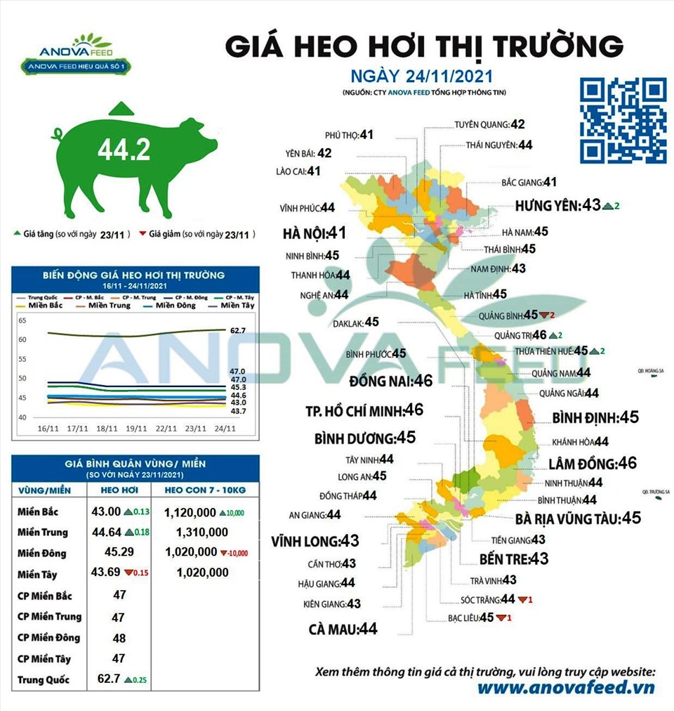 Nghịch lý: Càng gần Tết, giá lợn hơi càng giảm Nghịch lý: Càng gần Tết, giá lợn hơi càng giảm