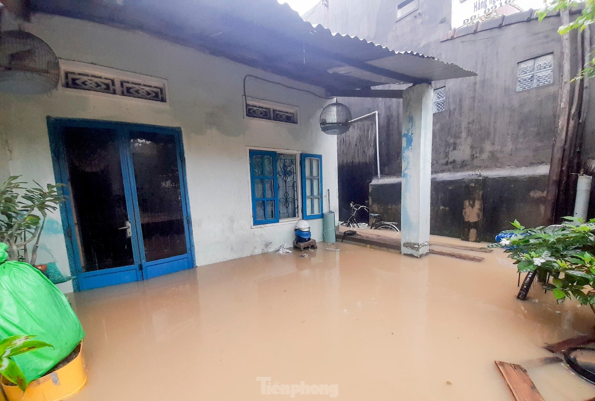 Mưa như trút, hàng ngàn nhà dân Bình Định ngập trong nước lũ - 5 Mưa như trút, hàng ngàn nhà dân Bình Định ngập trong nước lũ - 5