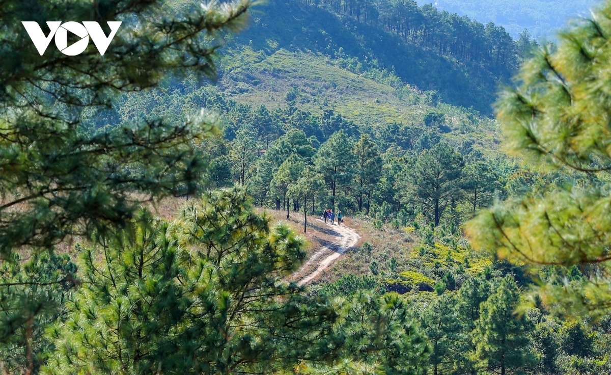 Thảo nguyên mùa cỏ cháy đẹp ngỡ ngàng tại Quảng Ninh - 3 Thảo nguyên mùa cỏ cháy đẹp ngỡ ngàng tại Quảng Ninh - 3