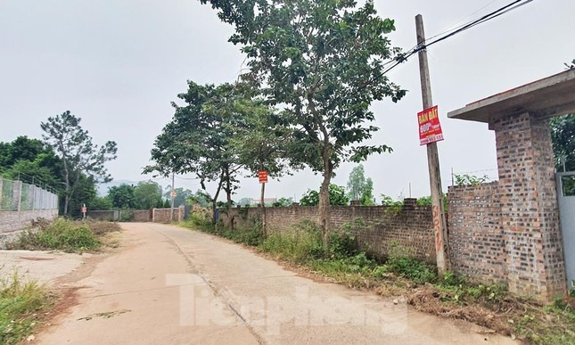 Môi giới liên kết 'kích sóng' đất vùng ven, đất ngoại thành Hà Nội - 1 Môi giới liên kết 'kích sóng' đất vùng ven, đất ngoại thành Hà Nội - 1