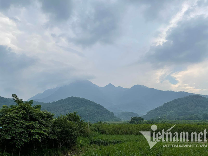 Về quê ăn Tết, giật mình giá đất tăng 'dựng đứng' Về quê ăn Tết, giật mình giá đất tăng 'dựng đứng'
