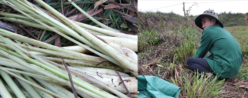 'Cạn lời' đi chợ giữa dịch COVID-19: Sả đắt gấp ba, thì là 400.000 đồng/kg - 5 'Cạn lời' đi chợ giữa dịch COVID-19: Sả đắt gấp ba, thì là 400.000 đồng/kg - 5