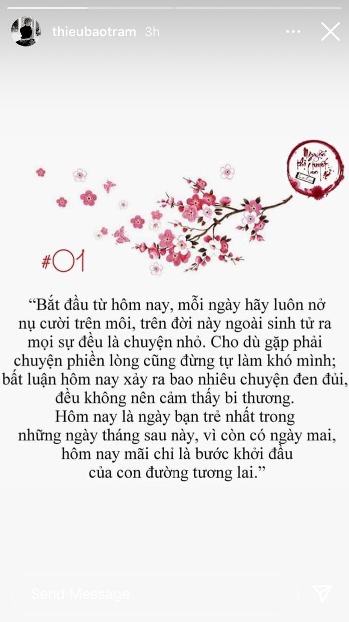 Thiều Bảo Trâm hiếm hoi nhắc đến tình yêu và hạnh phúc hậu ồn ào 'trà xanh' - 1 Thiều Bảo Trâm hiếm hoi nhắc đến tình yêu và hạnh phúc hậu ồn ào 'trà xanh' - 1