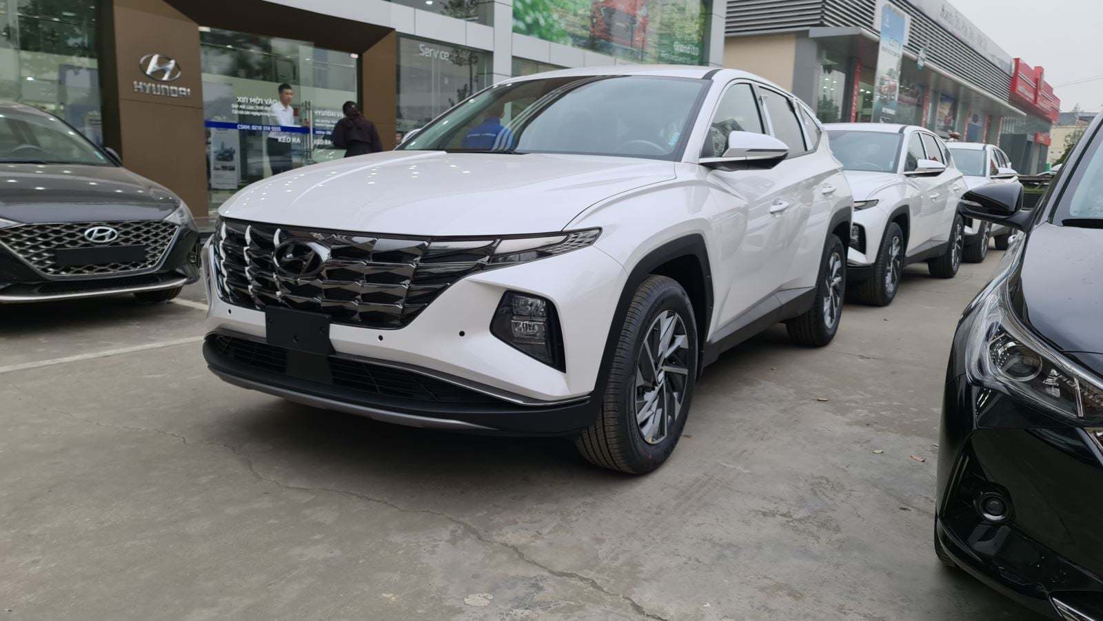 Xe khan hiếm, đại lý làm ăn buôn bán, nhiều khách đặt cọc Xe khan hiếm, đại lý làm ăn buôn bán, nhiều khách đặt cọc